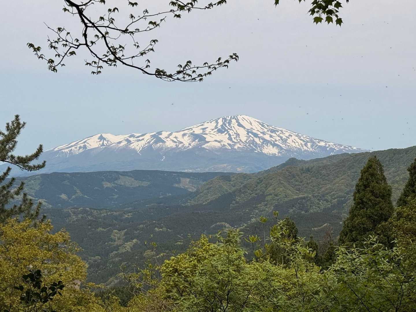 帰りも鳥海山✨