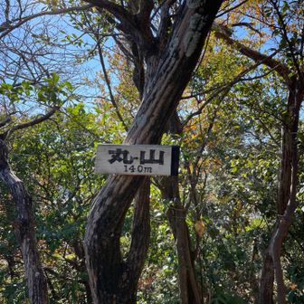 低山なのにやたらと疲れる😅