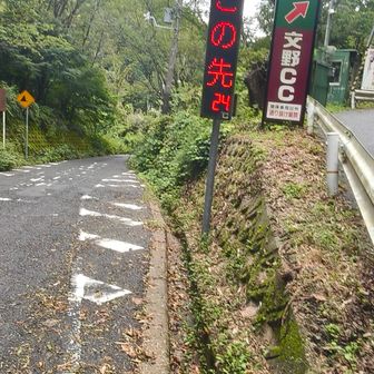 24℃低め