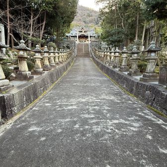 立派な参道