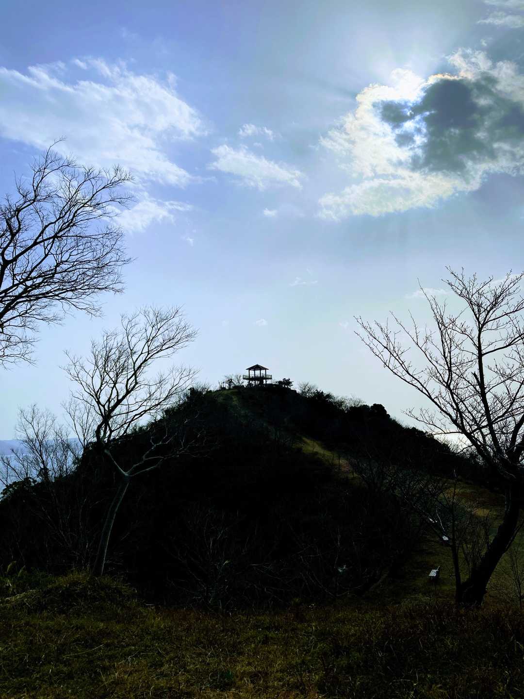 🐙章魚頭姿山山頂⛰には展望台があるみたい🥳