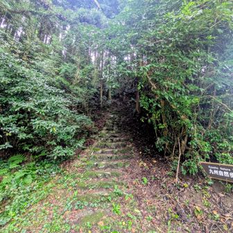 七曲峠到着。坂本峠から一山越えて到着。七曲峠側は急登になってます😵‍💫