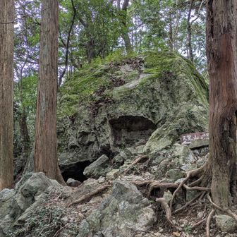 大岩に草が繁っています