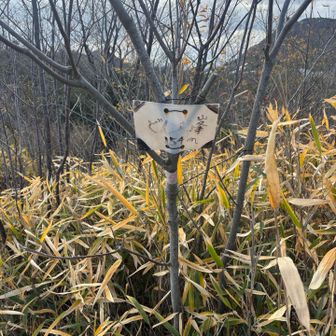 鉄塔の横にあります

戻る途中に、入り口で出会ったハイカーさんと再会
白いところ😆凄かったですよねぇ〜✨✨と感想述べ合う
関屋方面に抜けるとのこと
もうこの先は白いところ😆無いのかなぁ、と残念そうでした
私はまた白いところ😆通って帰ります