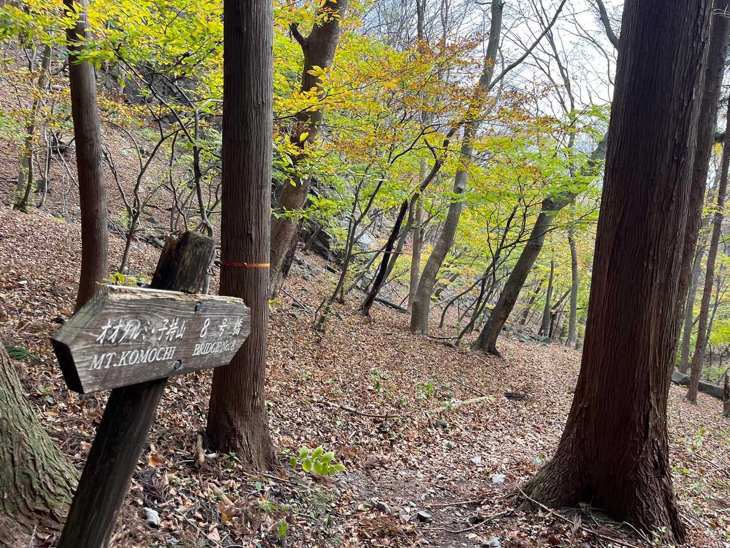 帰りは落ち葉で🍂滑る
3回ほど転んで頭も木に打撲､､
