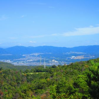中山山頂より