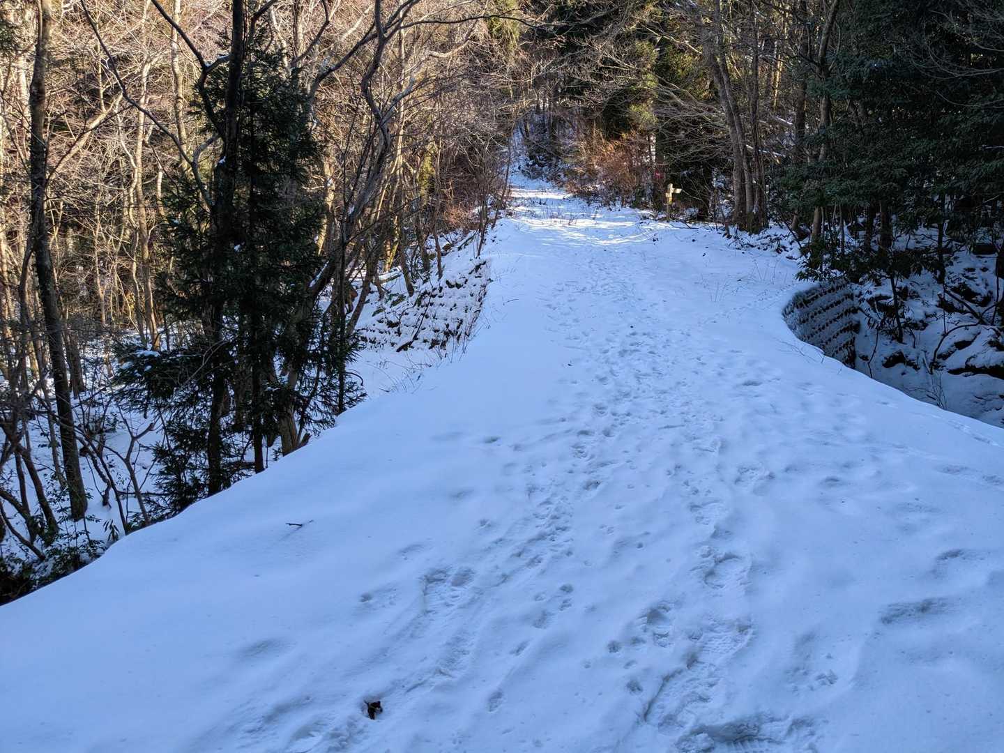 思ったより雪あるやん