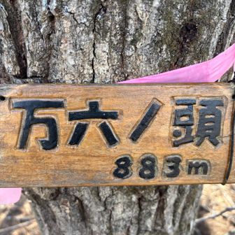 まんろくの頭
無事に来れた