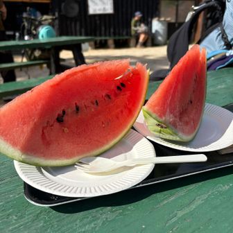 合戦小屋でスイカ🍉