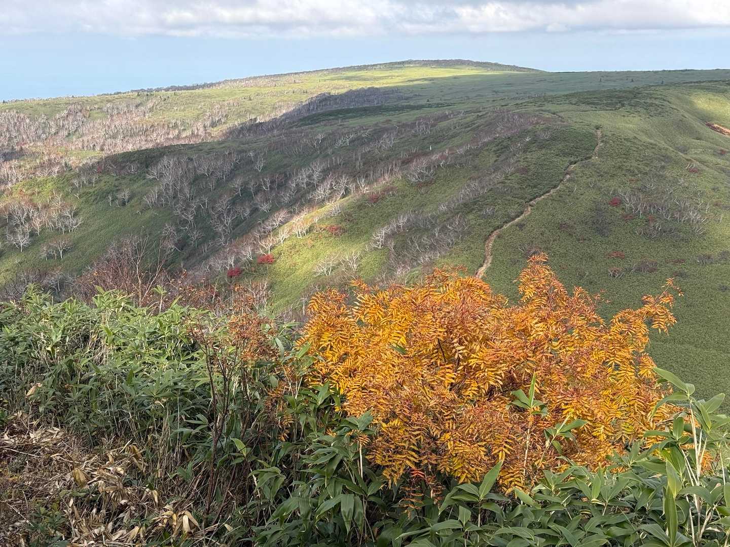 余市岳登山道入口-余市岳 往復コースの写真