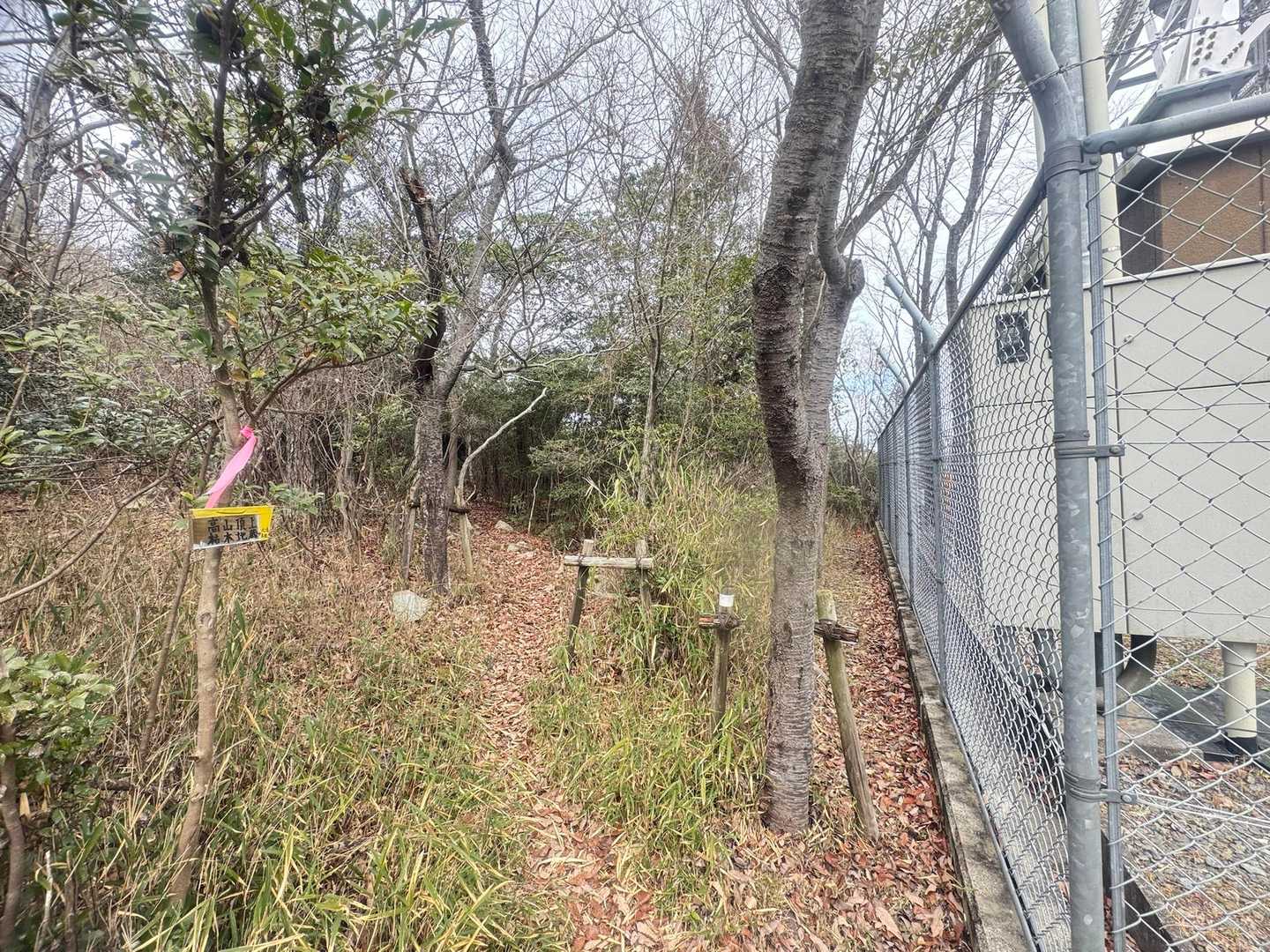 途中にあったｱﾝﾃﾅの所に出てきました。
このすぐ下で地元の方とお話を。
『雨もぱらついてきたしもう山頂行かんと下りるわぁ』という事で、一緒に下山(*^^*)
山歴40年近い高齢の女性。

『この歳で元気で登れるのはこの40年があったから。』

うわー！(((o(*ﾟ▽ﾟ*)o)))すてきだ！
見習わないと！