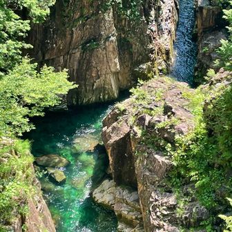 はなはな　しず