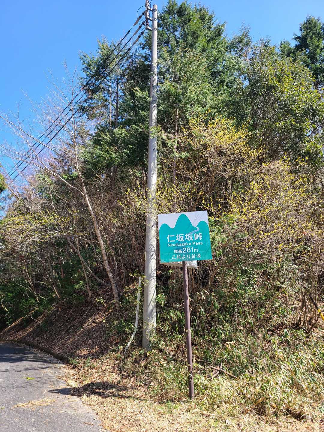 スタート地点。