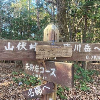 頑張って登って前武川岳に到着✨
ここまでもあちこちにベンチがあったけど、ここの広場みたいな山頂のベンチに座ってゆっくり休憩中