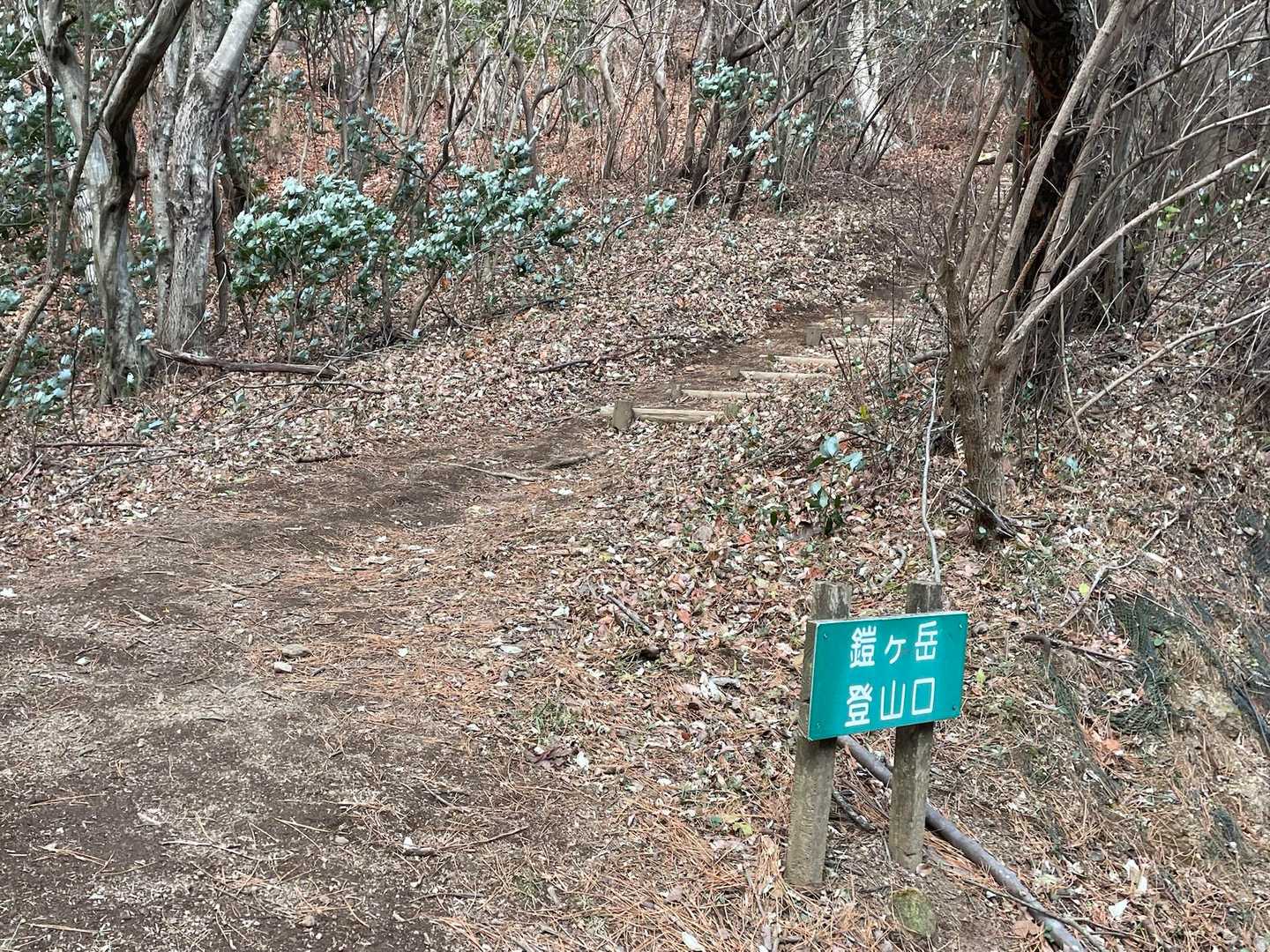 下りてきました👍