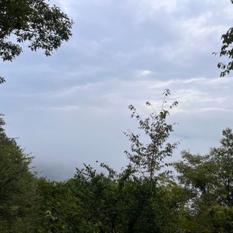 白山展望広場からは真っ白けの景色🌫️