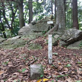 金剛山✨三角点あり