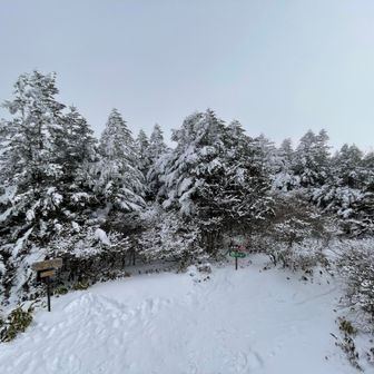 展望台に登ってみたものの、ガスで展望なし。