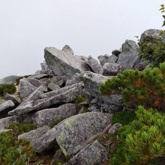 山頂は岩場