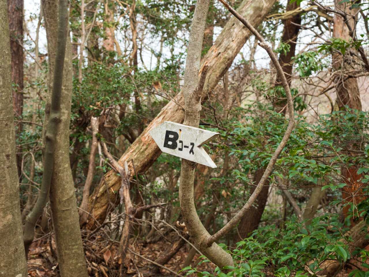 Bコースへ。