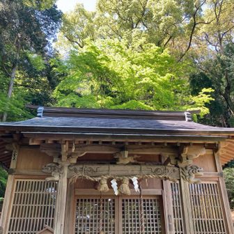 天拝山下宮の御自作天満宮

社殿の鳥居？のとこが素敵💚