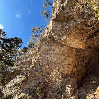 この上はさっきの展望スポットらしい！