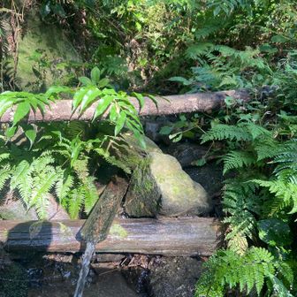 YAMAPに載っていない水場も多くあるよ