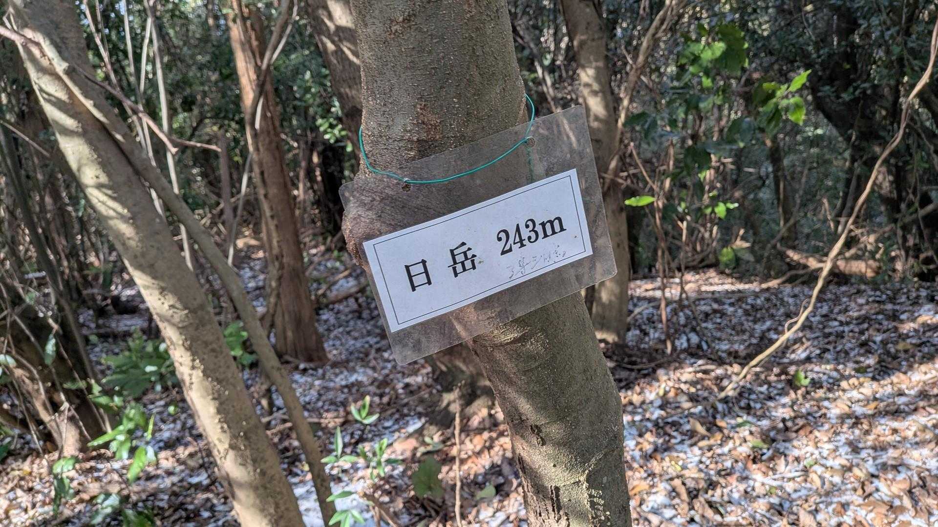山頂標識あり。
日岳243m。
