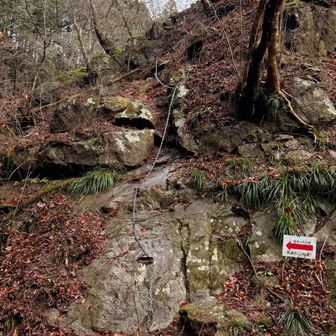 さあさあスタートよ