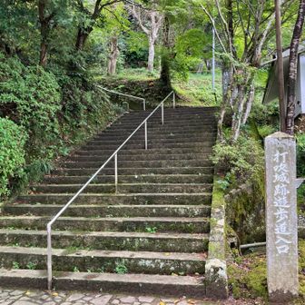 山頂へ➡️