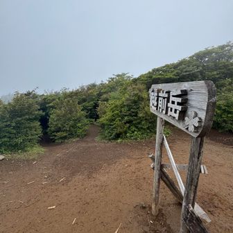 越前岳まで登り返してきました。
地味にしんどかった💧
そして朝より見えません…