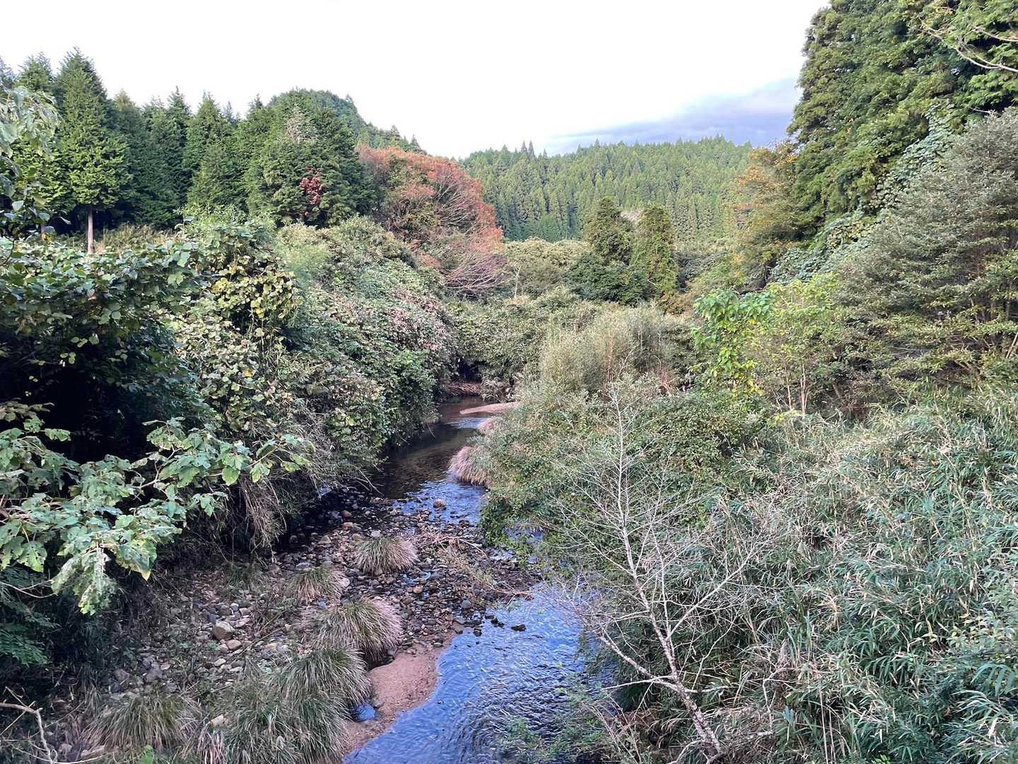 鈴鹿峠-三子山-四方草山-霧ヶ岳-相場振山-山女原バス停 周回コースの写真