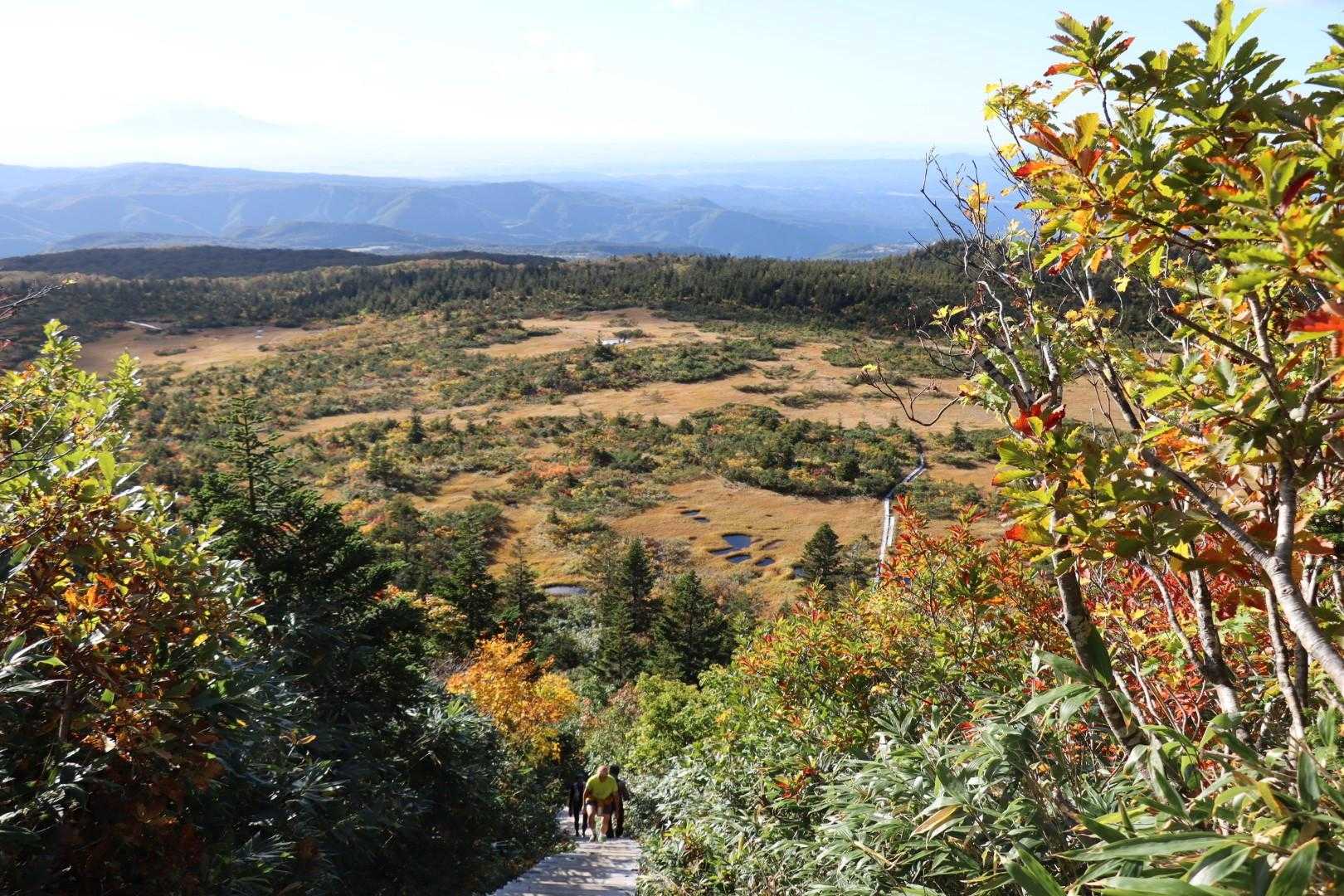 ２８０段の階段
見下ろすと毛無岱に無数の池塘
奥には岩木山！
最高のビューポイントだなぁ