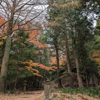 紅葉まだ残ってました。