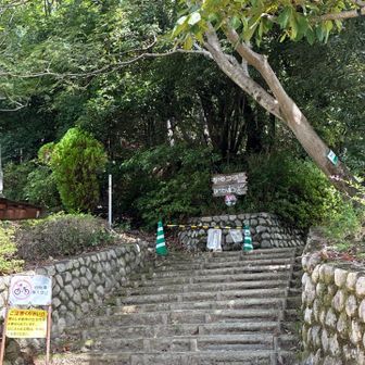 ここからひょうたん島コースに入ります