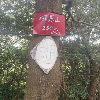 迷いながらも何とか到着💦