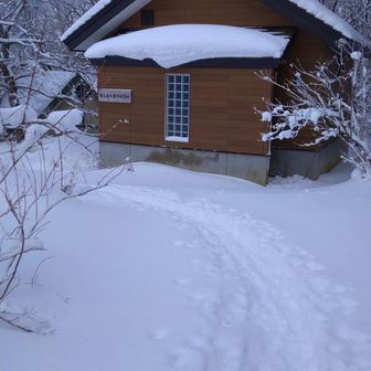 なんか先ほどまでと違ってトレースがあまりない