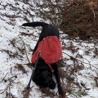 登山口へ
そしてこれ
いや、もう少しいい所でやれば良いのに😅