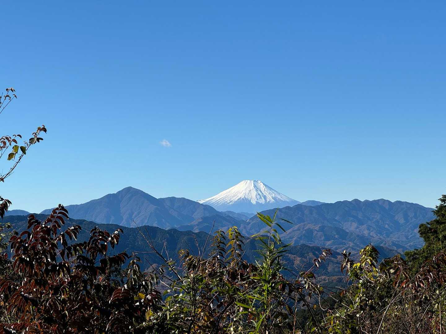 もみじ台からの富士山