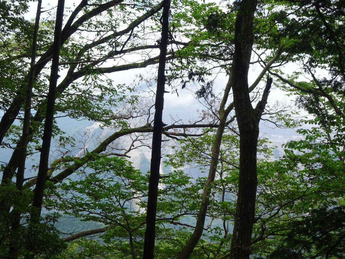 武甲山が木の間から見えた