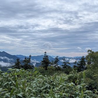 燧の後ろに上州武尊山、その右に至仏山が見えました