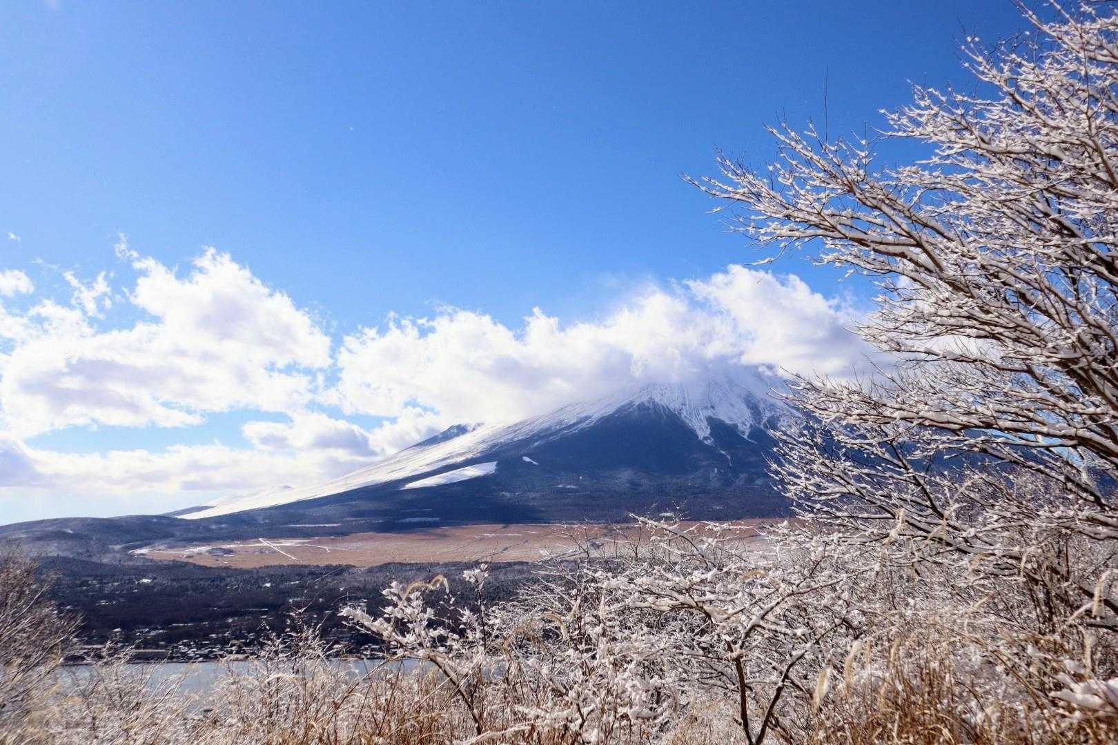 長池山より。
結局、富士山はずっと雲の中でした～🌀