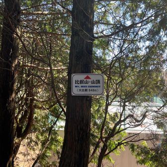 ほんとに眺望なし💦💦💦