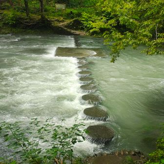 龍崖山・柏木山方面へのドレミファ橋、増水で渡れず。昨日も巾着田のドレミファ橋、渡れず☹️