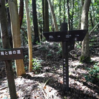 西帝釈山は通り過ぎてしまう。。