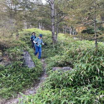 もう少しだ。