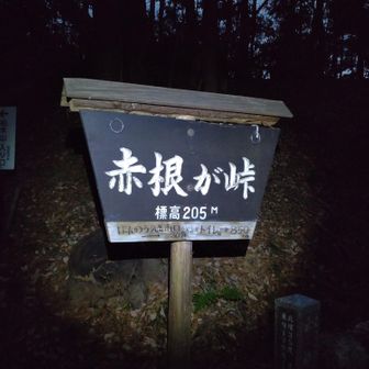 空が少し明るくなってきた