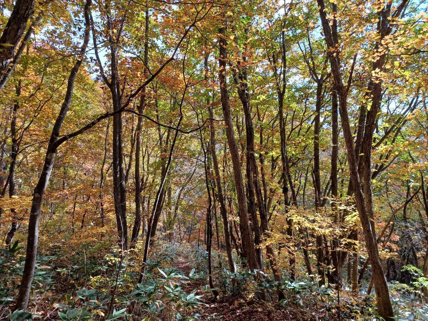もう少しで登山口。