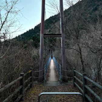 吊橋の上は揺れます🫨