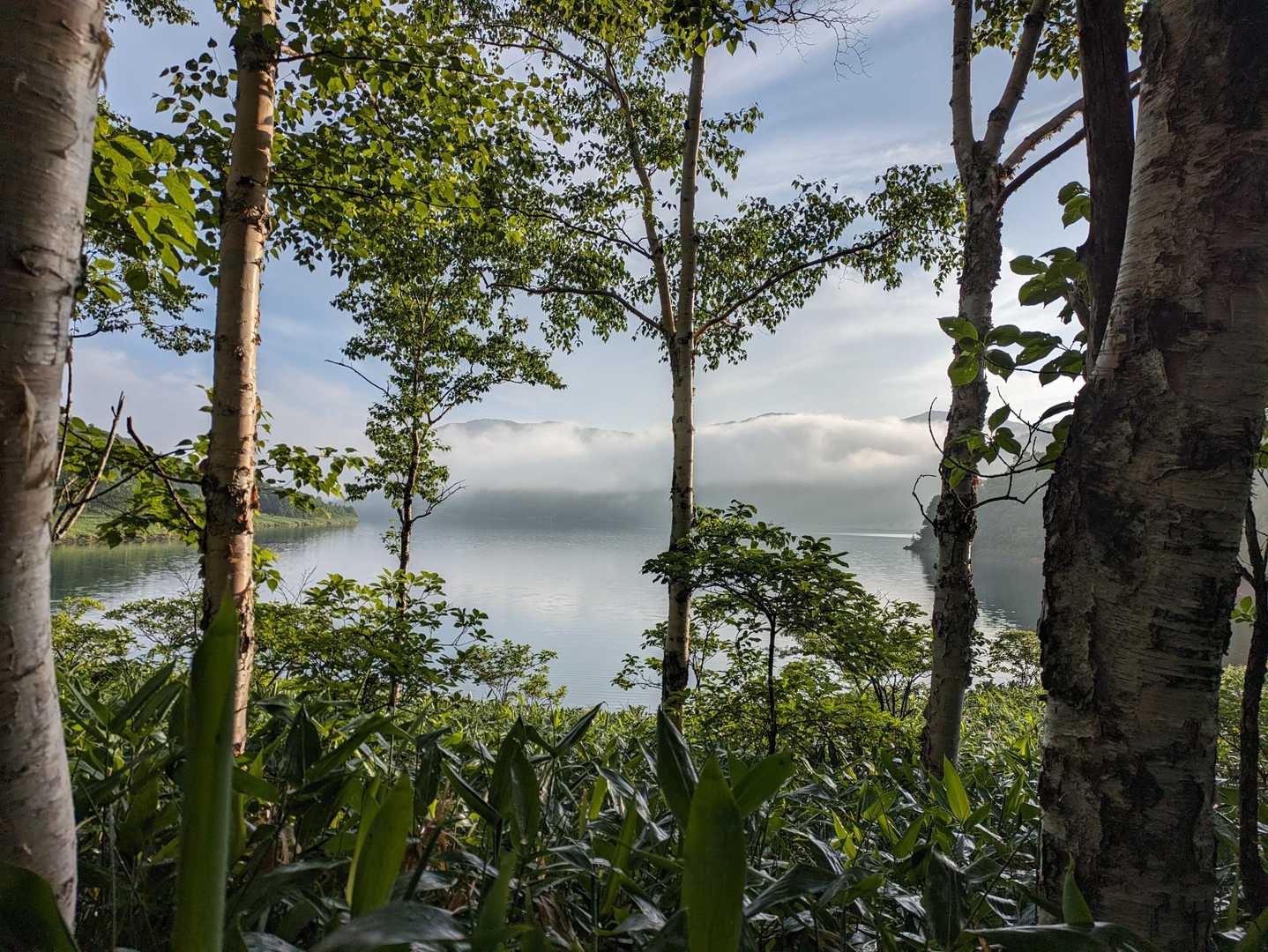 八間山登山口-八間山登山口-白砂山登山口-野反ダム-野反湖 周回コースの写真